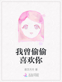 我曾偷偷喜欢你