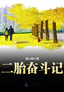 二胎奋斗记真人版免费