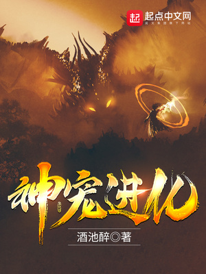 神宠进化高鹏御兽最终等级