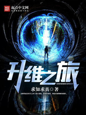 升维之旅TXT下载