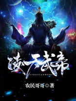 凌天武帝 小说