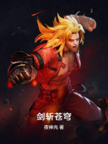 剑斩苍穹小说