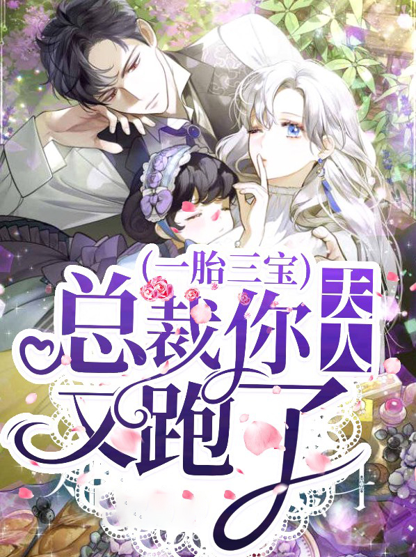 一胎三宝总裁大人