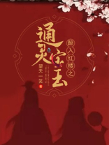 红楼开局偷了通灵宝玉