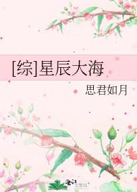 攻略下星辰大海综
