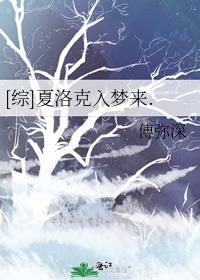 夏洛克入梦来 小说