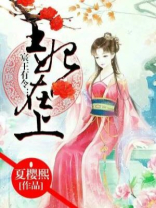 有宸王的小说