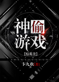 神偷游戏小说