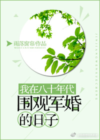 我在八十年代围观军婚的日子百度网盘
