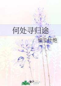 何处寻归途 惊尘针绝