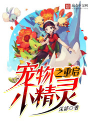 宠物小精灵之小茂旅行重启