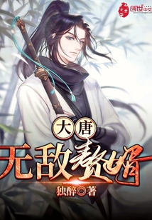 大唐无敌赘婿TXT