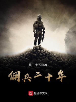 小说佣兵二十年