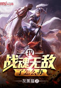 战魂无双小说全文阅读