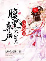 冷帝强宠:腹黑弃后不好惹 大风吹雪落