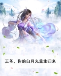 王爷,你的白月光重生归来