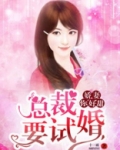 娇妻你好甜:总裁要试婚