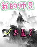 我的师兄太直了