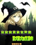 穿越到巫师世界后默默成神