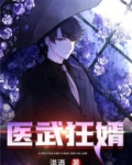 医武狂婿