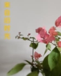 来自时光的恋人