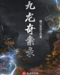 九龙奇案录