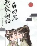 我家相公白切黑