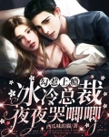 勾惹上瘾,冰冷总裁夜夜哭唧唧