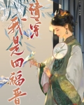 清穿我是四福晋