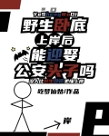 野生卧底上岸后能迎娶公安头子吗