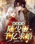 财迷萌妻:陆少砸千亿求婚