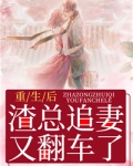 重生后,渣总追妻又翻车了
