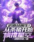 武道贫困生！从杀猪开始横推星空