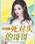 我渣了死对头的哥哥