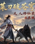 菜刀破苍穹,凡人修仙巅
