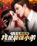 八个女神姐姐：我是最强小弟