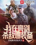 我在亮剑杀敌爆装备