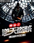 网游之逆天盗贼
