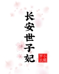 长安世子妃