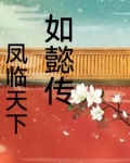如懿传之凤临天下