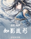 全职高手：如影随形