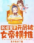 我,傻皇子,开局被女帝横推!