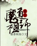 魔道祖师小说