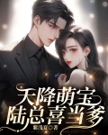 天降萌宝,陆总喜当爹