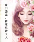 豪门盛宠:昏嫁总裁大人