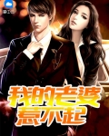 我的老婆惹不起