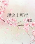 理论上可行