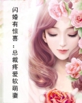 闪婚有惊喜:总裁疼爱软萌妻