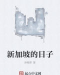 新加坡的日子