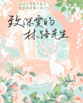 致深爱的林路先生[娱乐圈]